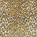 Mini Cheetah Print